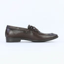 Aster – Brown