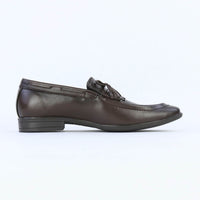 Aster – Brown