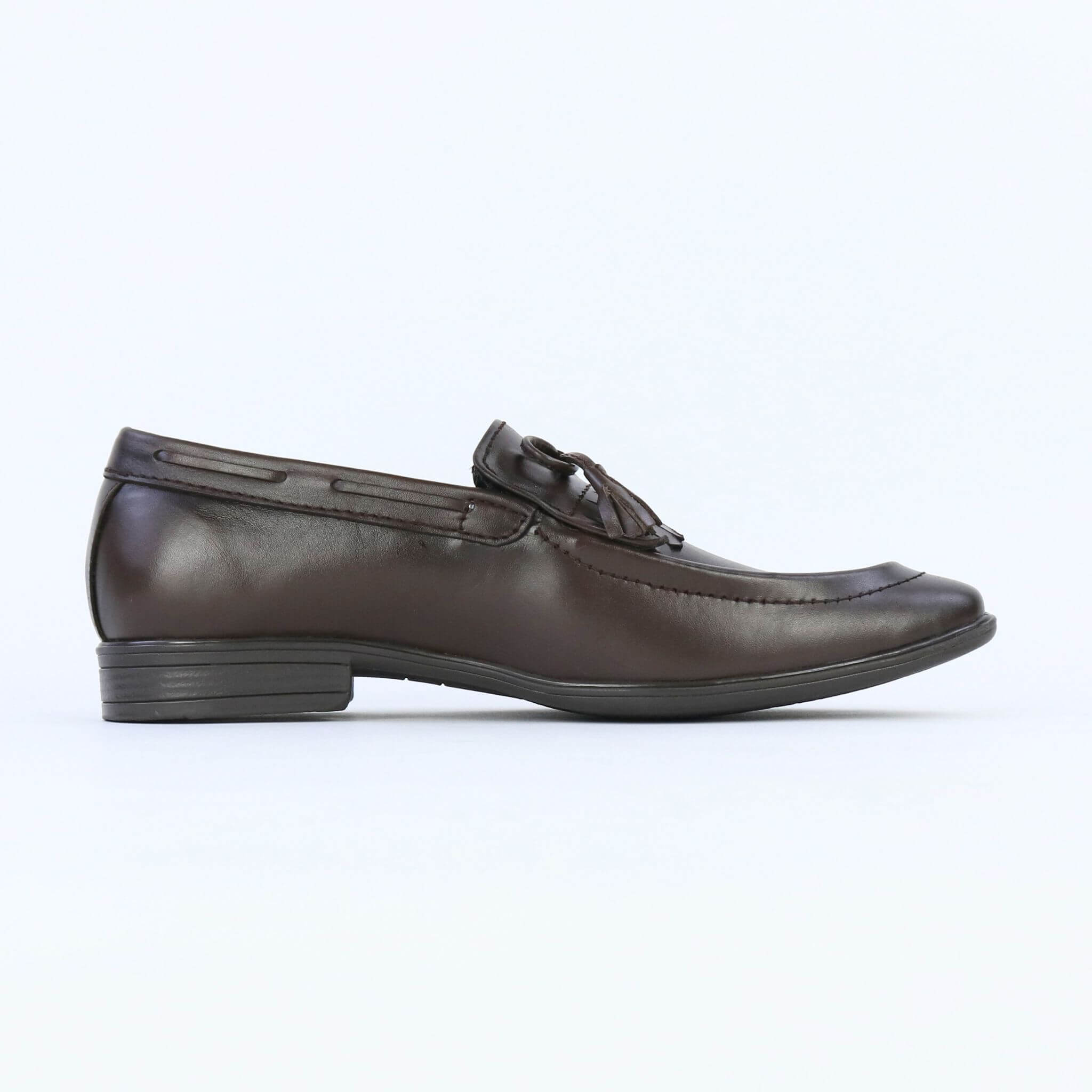 Aster – Brown