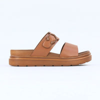 Eloria – Brown