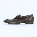 Aster – Brown