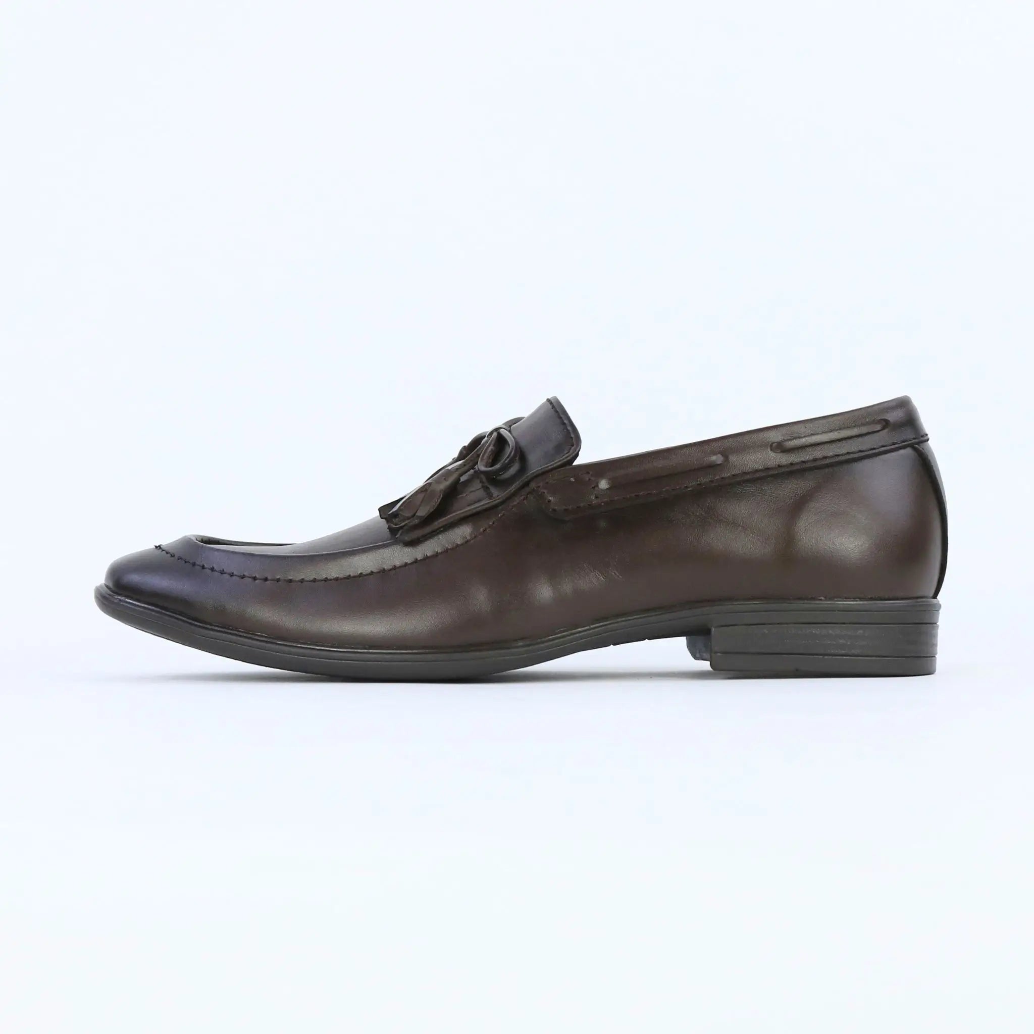 Aster – Brown
