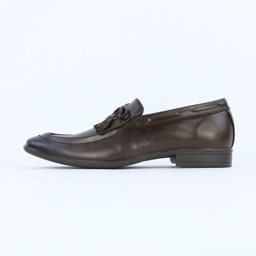 Aster – Brown