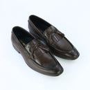 Aster – Brown