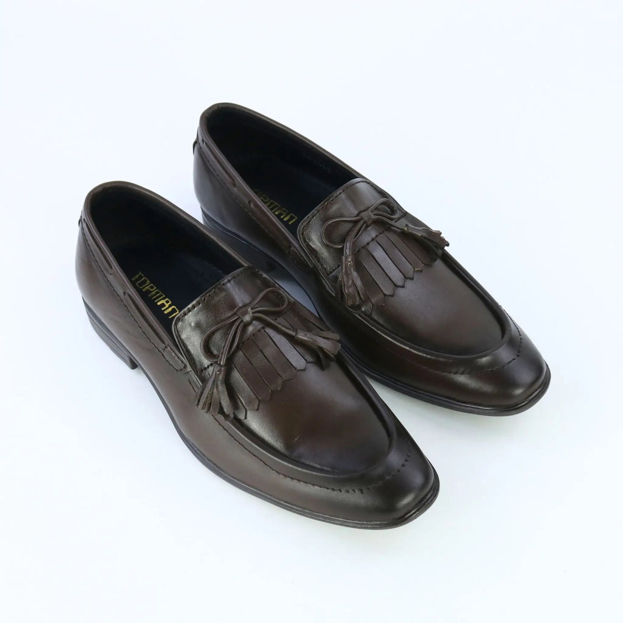 Aster – Brown