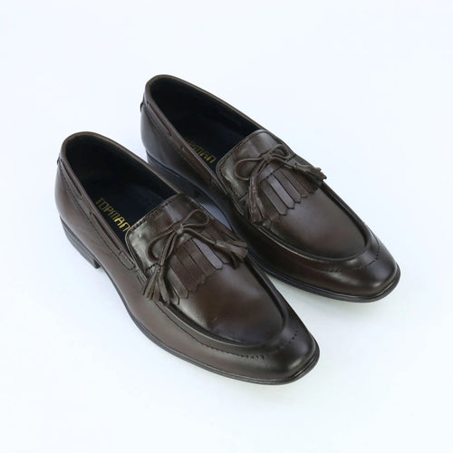 Aster – Brown