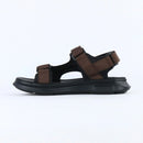 Veltrix – Brown
