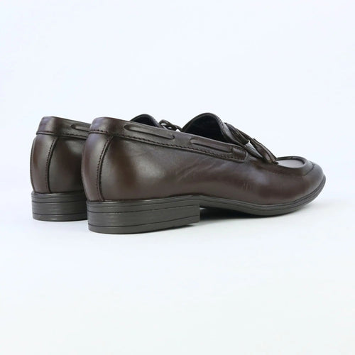Aster – Brown